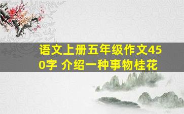 语文上册五年级作文450字 介绍一种事物桂花